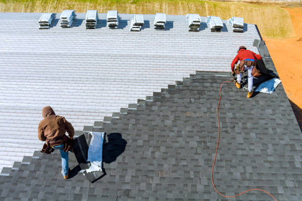 Best Roof Restoration Services  in Beaverton, MI