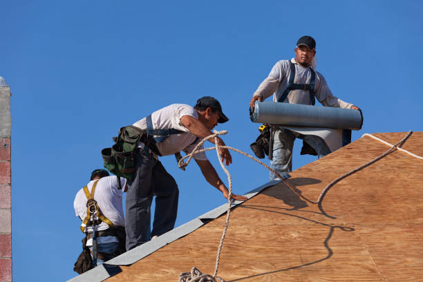 Best Residential Roof Replacement  in Beaverton, MI