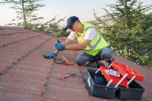 Residential Roof Replacement in Beaverton, MI