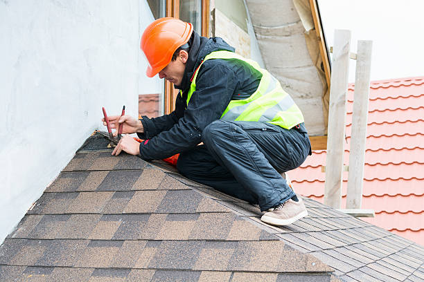 Best Roof Maintenance Services  in Beaverton, MI